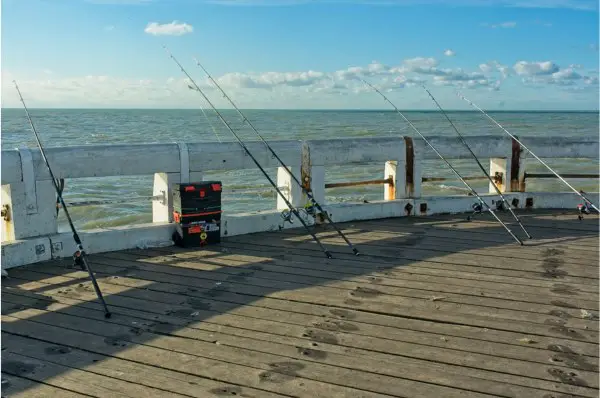 Sun Haven Fishing Rod