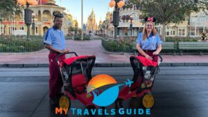 Special Needs Strollers | Mytravelsgyde
