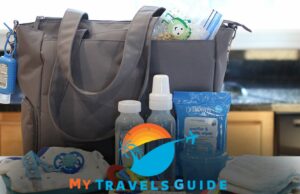 How to Travel With Breast Milk in a Diaper Bag